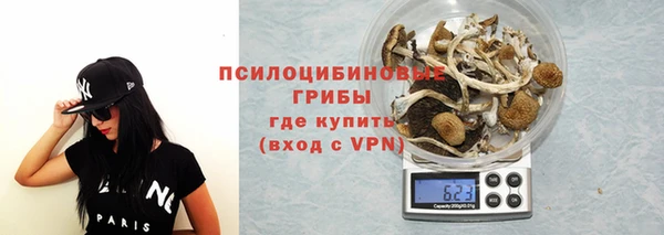 PSILOCYBIN Белоозёрский