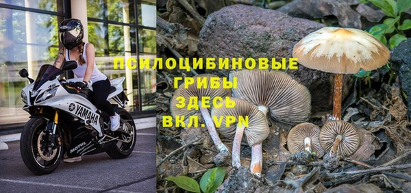 каннабис Беломорск